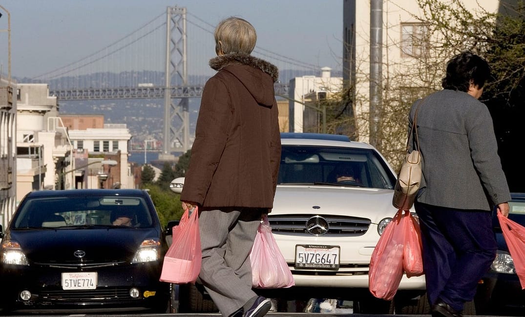 The Pandemic’s Quiet Victim: Our Planet