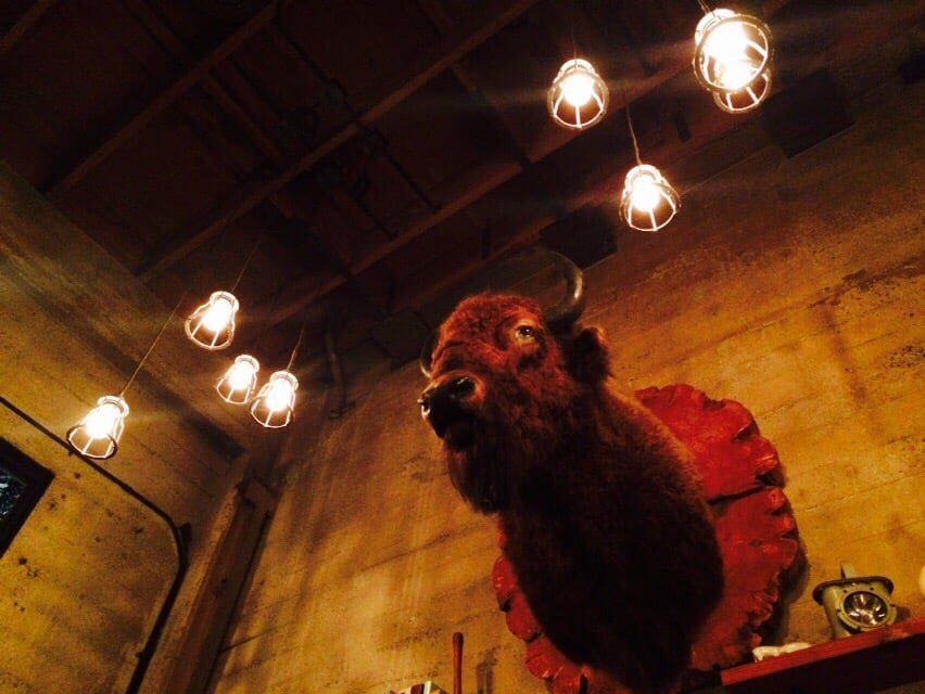 What’s with San Francisco’s Taxidermy Obsession?