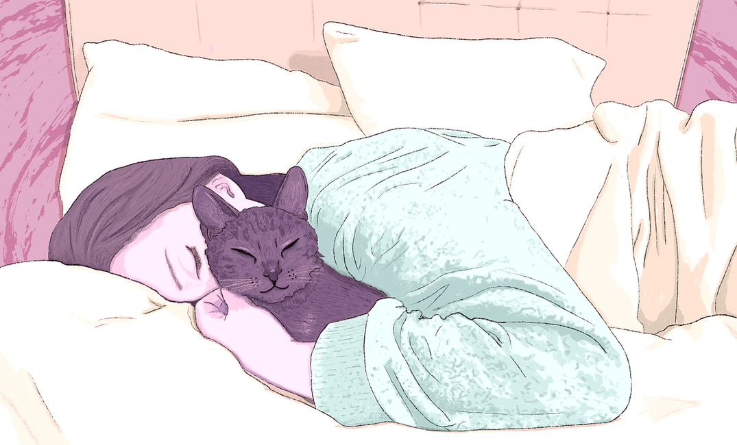 Millennials Can’t Afford Homes or Babies, But They Own All the Pets