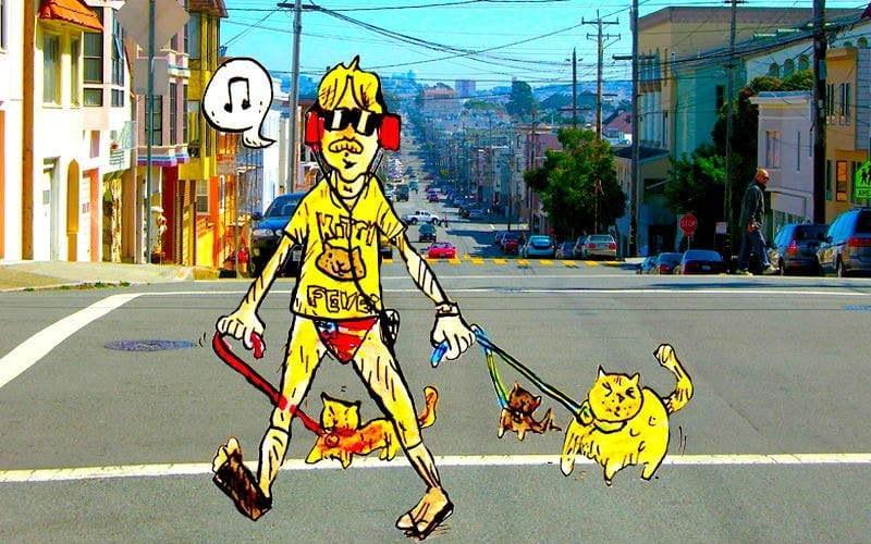 What Happened When I Tried to Walk My Cat in San Francisco