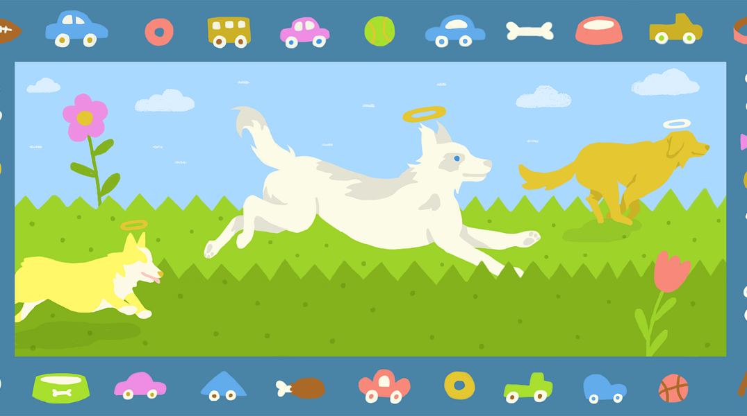 Why I Adopted a Dying Dog