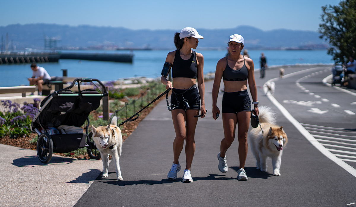 Why I love Mission Bay