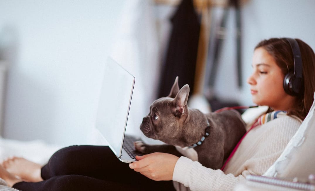 The Quest for Connection in a High School Zoom Class