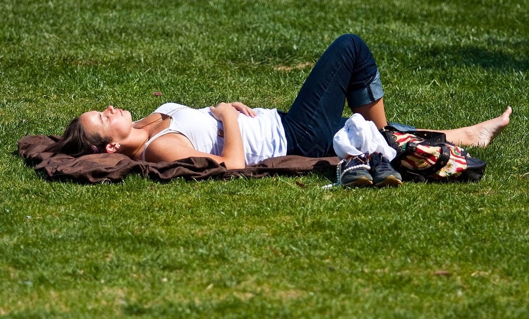 Where to Nap in Public: A Bay Area Guide