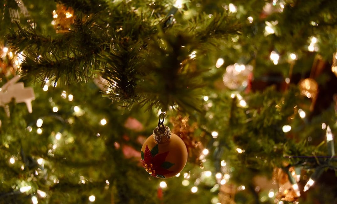 A Single Woman‘s Struggle to Buy (and Move) a Six-Foot-Tall Christmas Tree