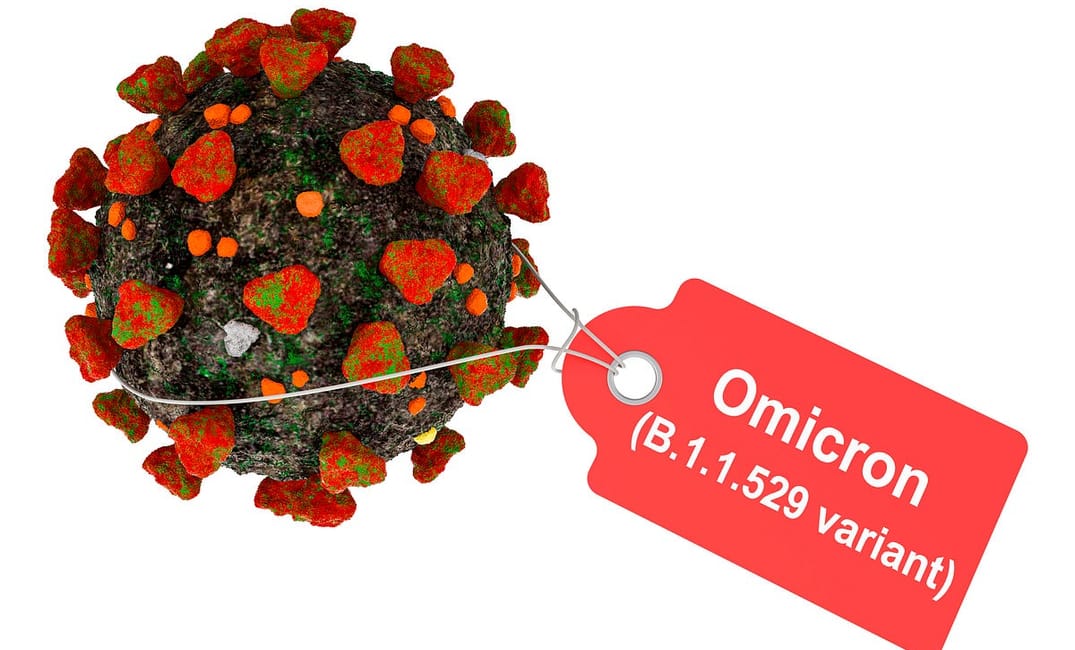 When Will The Omicron Arrive in the Bay Area