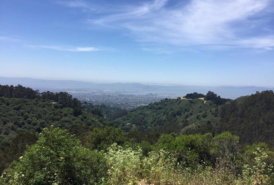 Eighteen Unique Places to Go in the Bay Area in 2018