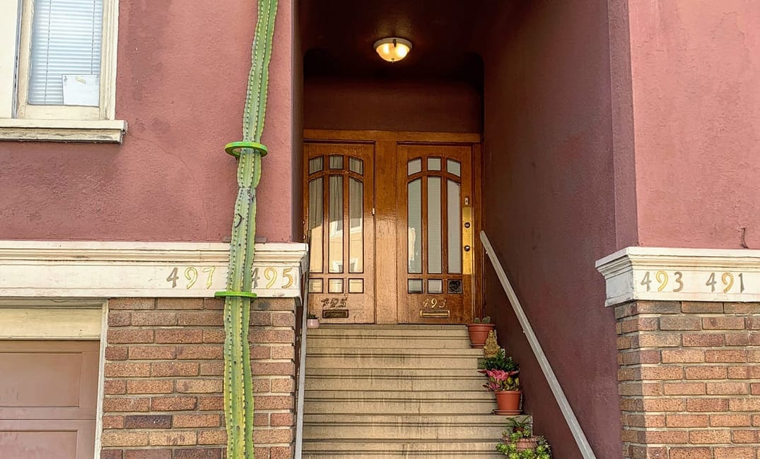 My Favorite Corner of SF: Anza and Fourth Avenue in the Inner Richmond