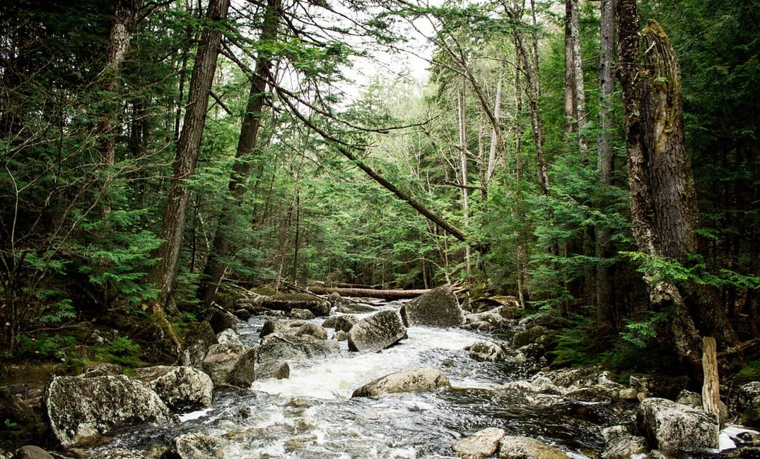 The Best Hidden Waterways in San Francisco