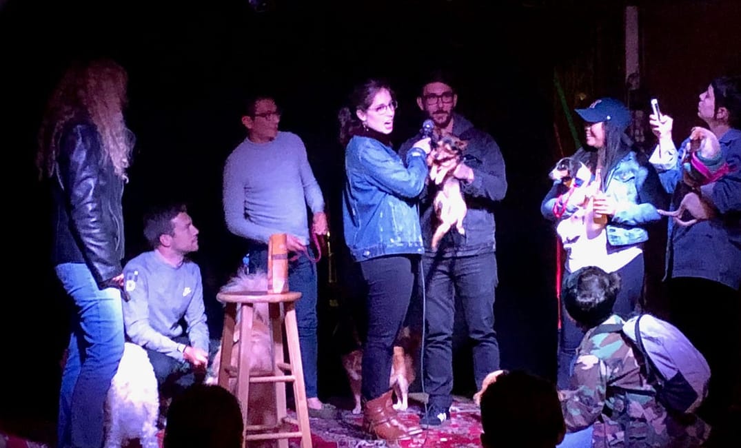 All the Bay Area Doggo Events for the Borkin’ Best Time