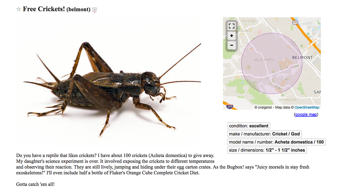 The Weirdest Things for Sale on Craigslist in the Bay Area This Week