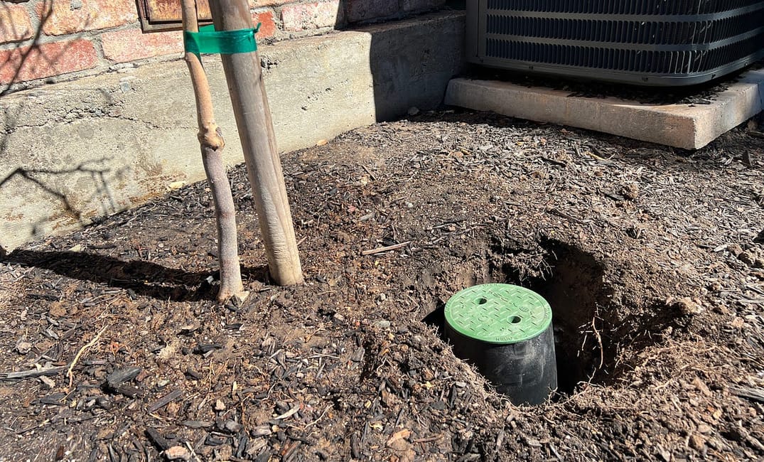 My Laundry-to-Landscape Greywater System Will Take a 25,000 Gallon Bite Out of the Drought