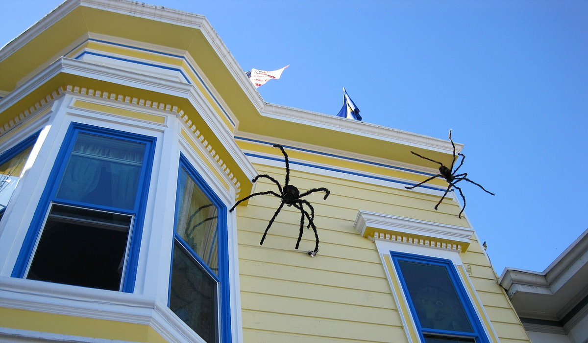 How to Halloween in San Francisco 2024