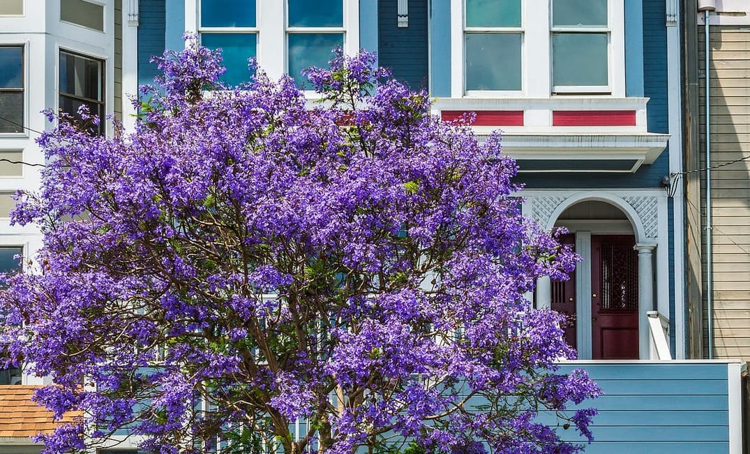 It’s Time For Me to Leave San Francisco