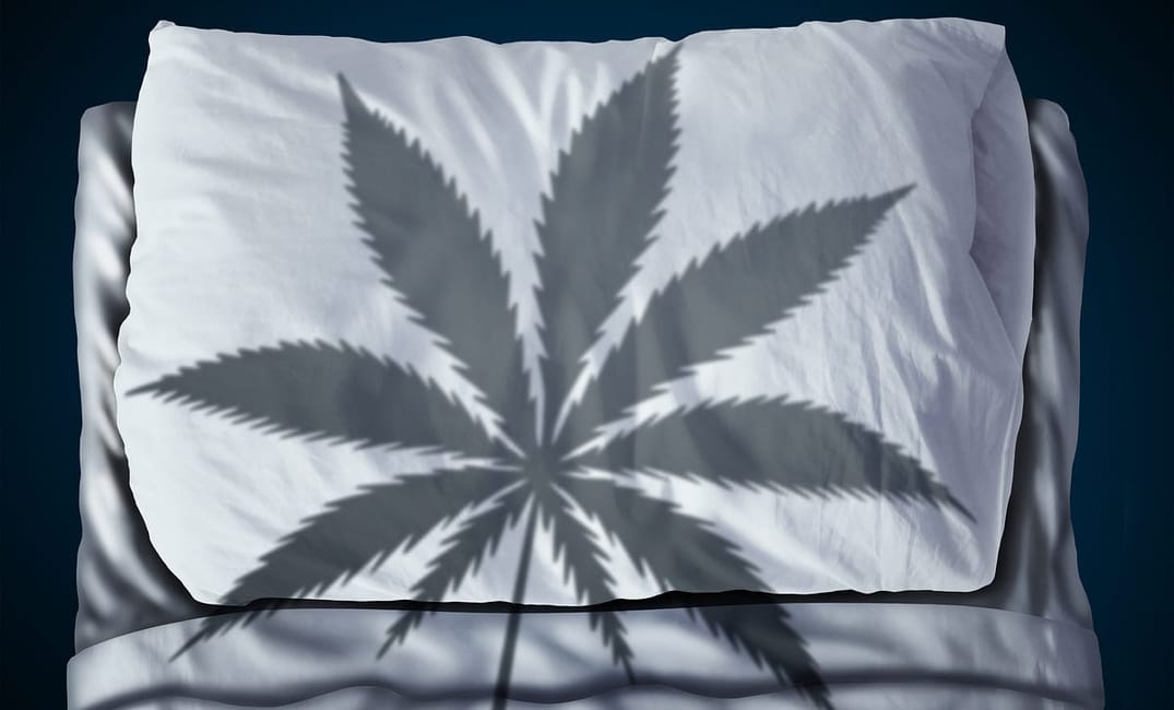 Papa and Barkley’s New Sleep ‘Releaf’ Line Proves Full-Spectrum Cannabis Is Key to Getting Better Sleep