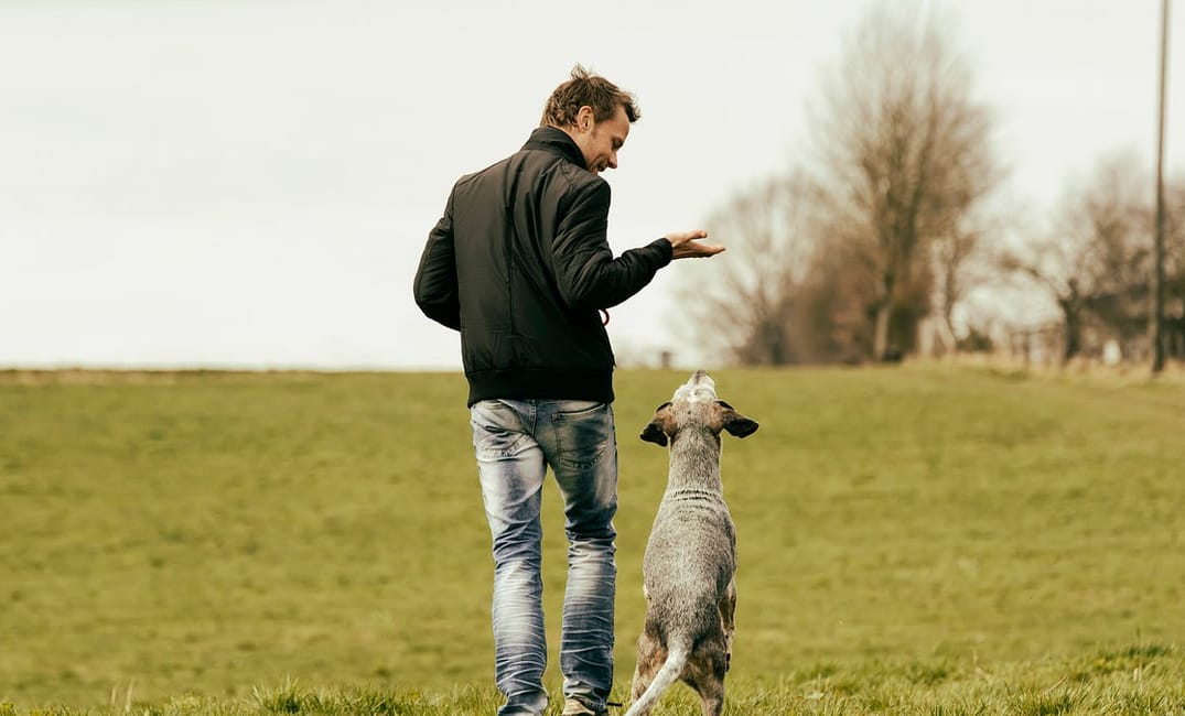 Specific Ideas to Stay Sane as We Wait for Election Results