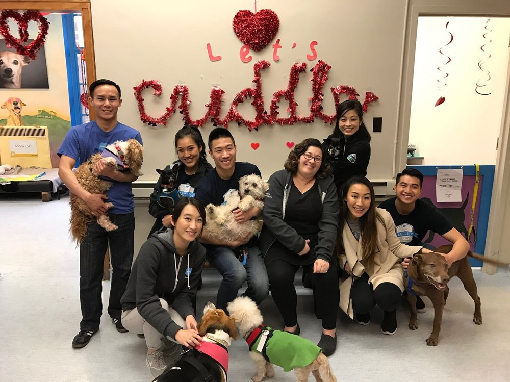 Tell Us What You Love, and We’ll Tell You Where to Volunteer