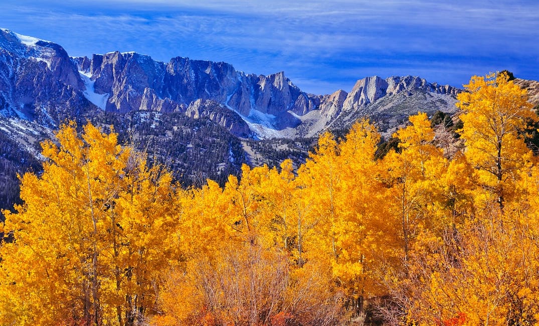 Where Can You Find California’s Fall Foliage? This Site Will Tell You.