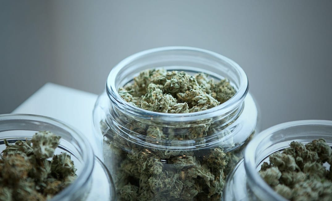 5 Cannabis Entrepreneurs in the Bay Area