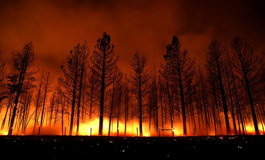 I Lost My Friend in a Firestorm. Then a Massive Forest Fire Almost Burned Down My Brother’s House.