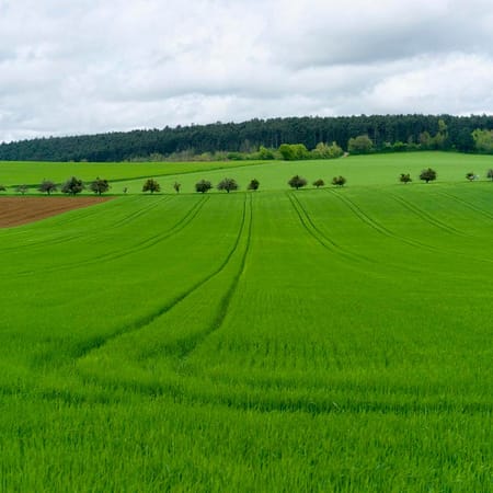 Image of: Go Ahead — Eat Genetically Modified Food. It’s Not Bad For You.