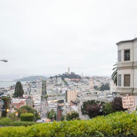 Image of: Welcome to the New Bold Italic