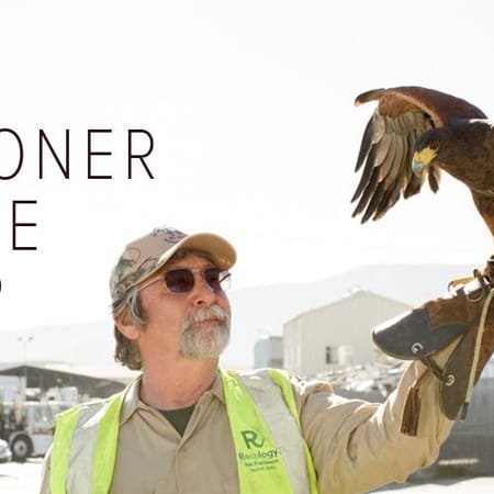 Image of: This Guy and His Trained Hawks Work at the SF Dump