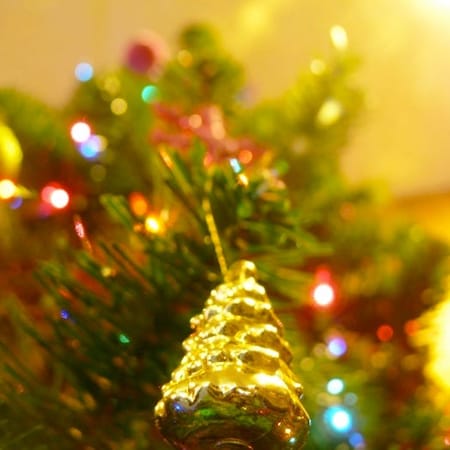 Image of: Where to Buy a Christmas Tree by Neighborhood in San Francisco