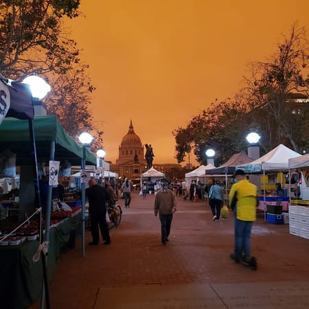 Image of: Despite Fires and Covid, the Tenderloin Farmers Market Endures