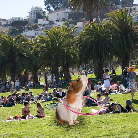 Image of: By Jessica Saia