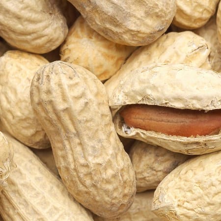 Image of: RIP KK Cafe, Long Live Peanut Milk — The Bold Italic — San Francisco