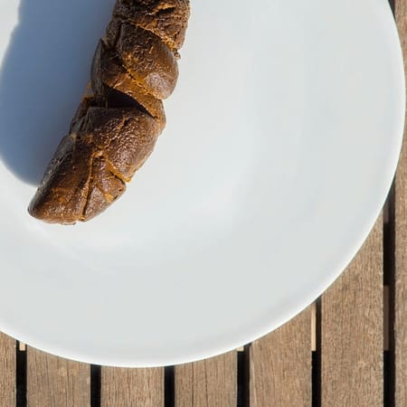 Image of: This is How SF Plans to Solve Our Poop Problem