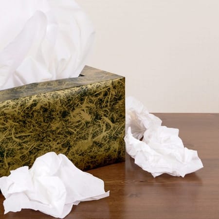 Image of: Places to Get Kinky with Yourself When You Don’t Live Alone