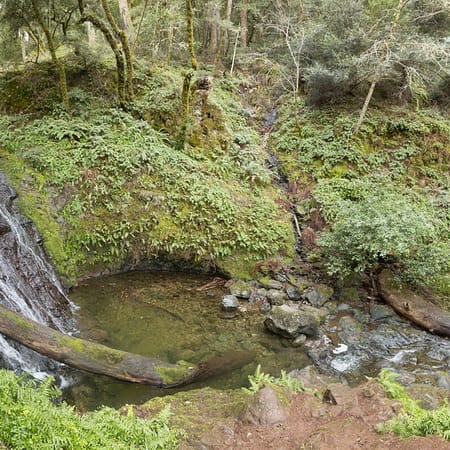 Image of: The Seven Best Waterfall Hikes Near San Francisco