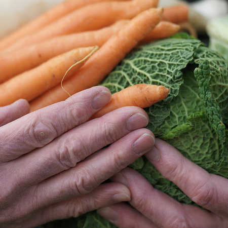 Image of: A Startup Trying to Solve the TL Food Problem — The Bold Italic — San Francisco