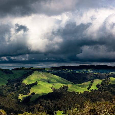 Image of: Seven Gorgeous Runs to Try in San Francisco