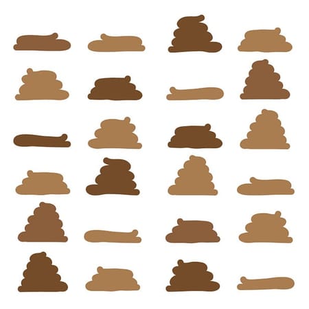 Image of: A Guide to SF’s Shittiest Streets