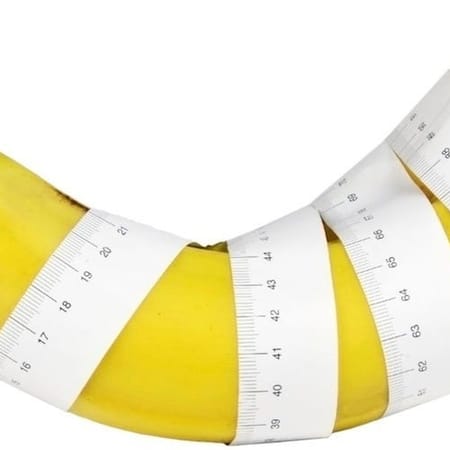 Image of: Sex Tracking is the new FitBit — The Bold Italic — San Francisco