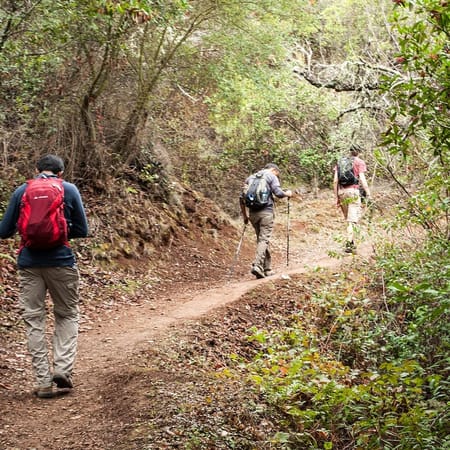 Image of: Why Don’t More Minorities Hike?