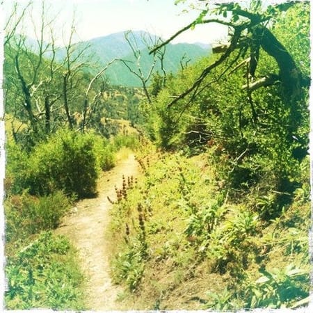 Image of: Skinny Dipping at the Zen Monastery — The Bold Italic — San Francisco