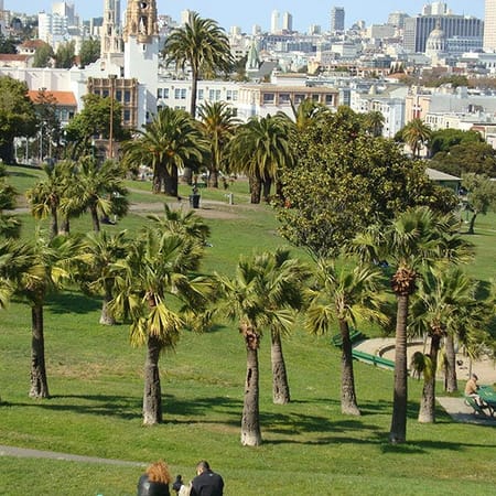 Image of: This Incident Proves Dolores Park is Serious About Enforcing Rules — The Bold Italic — San Francisco