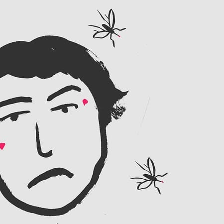 Image of: SF Not Prepared for Hot Mosquito Hell — The Bold Italic — San Francisco