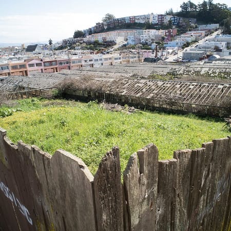 Image of: The Eerie Remnants of University Mound Nursery