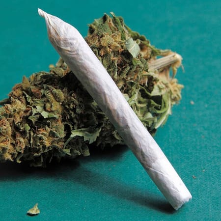 Image of: SF Now Has an ‘Uber for Weed’