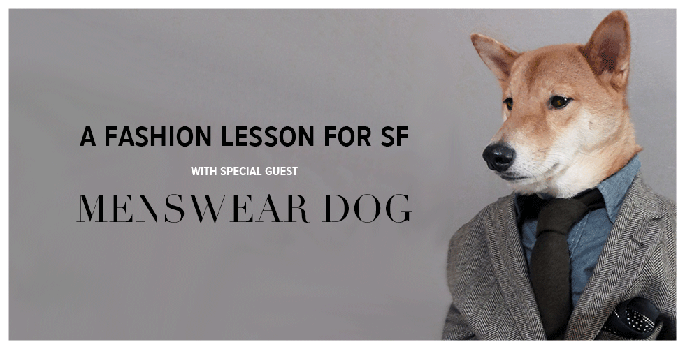 Image of: A Fashion Lesson for SF With Special Guest Menswear Dog