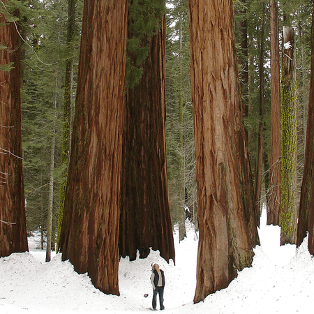 Image of: 7 Road Trips to Take This Winter