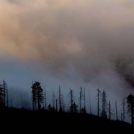 Image of: How to Deal With the Bay Area's Wildfire Smoke