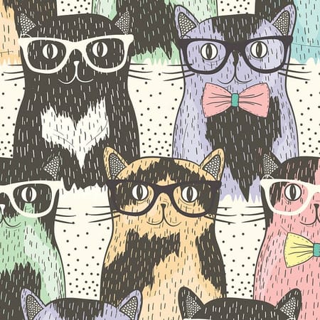 Image of: Bring Your Hipster Cat to Dolores Park on Sat