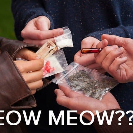 Image of: What the Hell is Meow Meow? 2014 Drug Guide