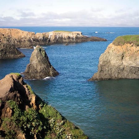 Image of: A Day in the Life of a Cannabis Farmer